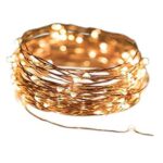 Catena luminosa dimmerabile 10 mt 100 luci microled calda filo rame