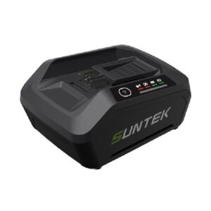 Caricabatterie Suntek 40v Lento